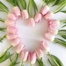 علاء / علوش profil fotoğrafı