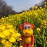 つる吉 的头像