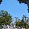 Фото профиля skyfly1047