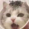 zero 的头像