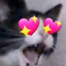 Ech's profile picture
