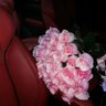 الصقر الجارح's profile picture