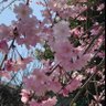 Фото профиля 池