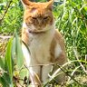 タオカキョウコ's profile picture
