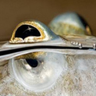Profilbild von peer of eyes