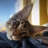 Profilbild von Alexander