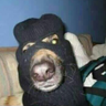 Cachorro loko 的头像