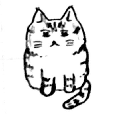 kibitaraso's profile picture