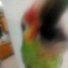 Airon mang profil fotoğrafı