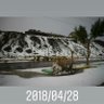 Seef ali profil fotoğrafı