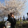 もなぞう's profile picture