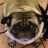 BiuBiu profil fotoğrafı