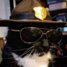 Dusty Gulleson profil fotoğrafı