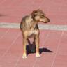 Maria Aurora Echazu's profile picture