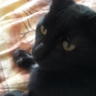 Dr. Lisa Sharlach ๐ดโโ ๏ธ๐
's profile picture