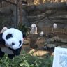 盆脳's profile picture
