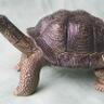 Profilbild von Pavlovs Tortoise