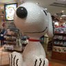 つよぽん profil fotoğrafı