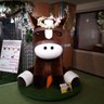 のんのん profil fotoğrafı