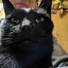 Profilbild von 右京