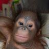 et-coquine's profile picture