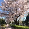 Фото профиля ちーさん