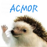 Acmor's profile picture