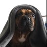 Insightful Yoda's profile picture