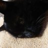ヒコ profil fotoğrafı