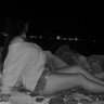 Ells profil fotoğrafı