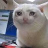 Diego's profile picture
