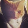 My name is Ginger's profile picture