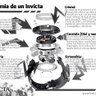 Andrés 的头像