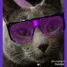 💜Purrrplegrrrl💜(Neese)'s profile picture