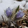 Фото профиля Casey Wenzlaff