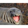 Profilbild von Trololo