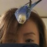 Takae Sasaki 🦄 profil fotoğrafı