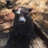 S Jackson's profile picture