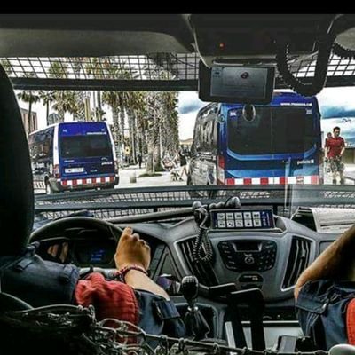 com_accion's profile picture