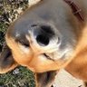 Profilbild von Tomek