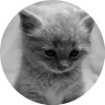 Aquavious 'Fred' Dump profil fotoğrafı