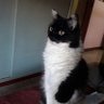 Paula profil fotoğrafı