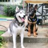 Carol profil fotoğrafı