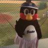 かじ。ys2896.283🐧捲土重来⚾️'s profile picture