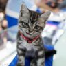 Фото профиля goohub