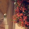 1Ebtisam profil fotoğrafı