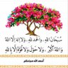 محمد سعيد's profile picture