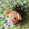 bonbonbon(*-ω人) 的头像