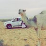 سعود 的头像