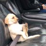 chlobuchar profil fotoğrafı